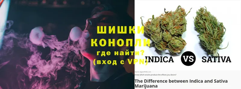 Шишки марихуана SATIVA & INDICA  мега как войти  Изобильный 